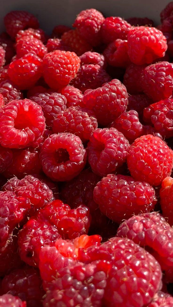 Bounty Basket: Fresh-Picked Orchard Delights